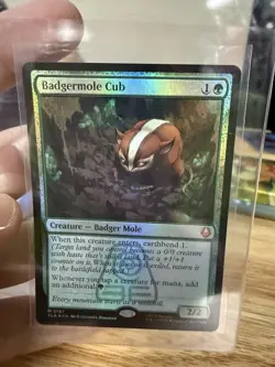Badgermole Cub Avatar: The Last Airbender Foil , Magic: The Gathering M0167 - Image 1
