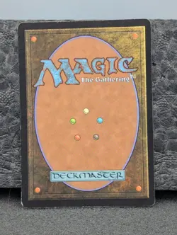 MP - Forest (349) - Foil - Onslaught - Magic The Gathering English MTG - Image 2