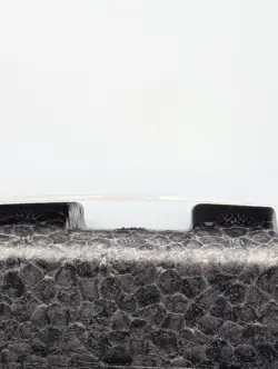 MP - Forest (349) - Foil - Onslaught - Magic The Gathering English MTG - Image 3