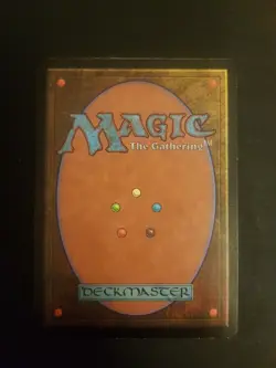 FOIL Seuchenhexe, Premodern Magic Mtg Karten Sammlung - Image 2