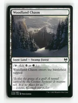 Woodland Chasm Kaldheim Regular - Image 1