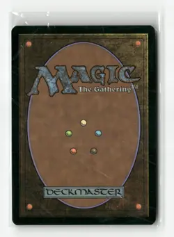 Forest (301) - JP Full Art Kamigawa: Neon Dynasty Regular - Image 2
