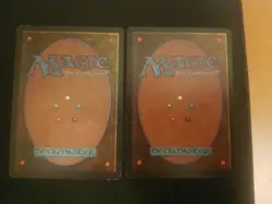 ARABIAN NIGHTS, Hasran Ogress, Sandstorm, Oldschool Magic Mtg Karten Sammlung - Image 2