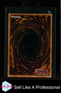 ELEMENTARHELD TEMPEST KONAMI YU-GI-OH! EEN-DE034 GERMAN EEN 1. AUFLAGE - Image 2