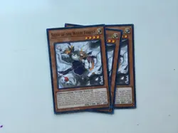 (NEAR MINT) 3x Silvy of the White Forest Yugioh INFO Infinite Forbidden - Image 1