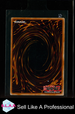 HORUS THE BLACK FLAME DRAGON LV4 KONAMI YU-GI-OH! SOD-EN006 STARTER DECK EN 1.ED - Image 2