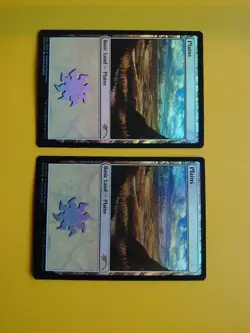 MTG Card. Plains x2 Standard Showdown Land FOIL as pictures- Alayna Danner - Image 2