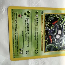 Pokemon Tangela 66/102 1st Edition Shadowless Base Set Card - Image 2