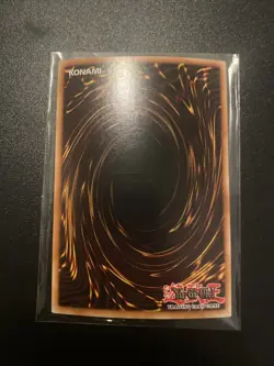 Red-Eyes Toon Dragon - 1st Edition Super Rare LP - Image 4