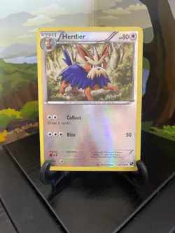 Herdier 82/114 - Black & White - Uncommon - Reverse Holo - Pokemon Card TCG - MP - Image 1