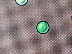 MTG: Volcanic Island - Revised - English - LP - Reserved List - Authentic - Image 5