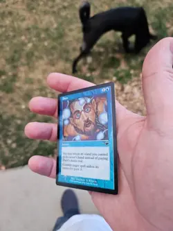 Foil Daze MTG - Image 4