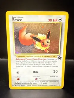 Pokemon - Eevee 11/53 - Wotc - Black Star Promo Holo AF - Image 1