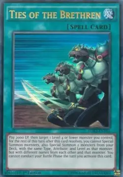 Yugioh-Ties of the Brethren-Ultra Rare-1st Edition-LDK2 ENY02 (LP) - Image 1