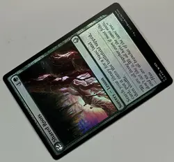 MTG Avatar: TLA Shared Roots Sorcery - Lesson UNCOMMON FOIL #0196 - Image 5