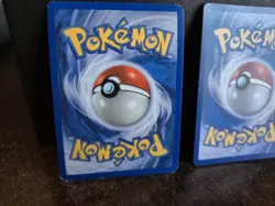 Pokemon Card Lot Vintage Holo Pidgeot And Eevee SAR Terastal Korean 2 Cards Lot - Image 5