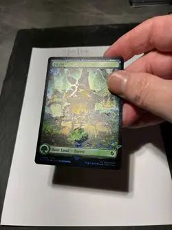 Magic the Gathering MTG Forest Full Art x4 Land Chocobo Track FOIL Cards NM/M - Image 4