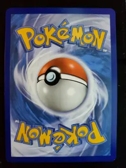 Litten 15/25 - Non-Holo - Pokemon 25th Anniversary McDonalds Promo - Mint - Image 2