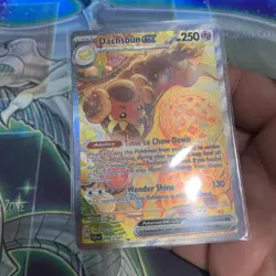 Pokemon TCG Stellar Crown Dachsbun EX SIR Holo Card 169/142 Near Mint - Image 4