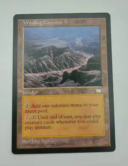 Winding Canyons. Weatherlight Set. Magic the Gathering. Near Mint. - Image 1