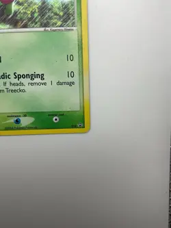 Treecko - Holo - 016 Black Star Promo - Pokemon TCG - 2004 - Image 3
