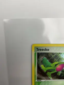 Treecko - Holo - 016 Black Star Promo - Pokemon TCG - 2004 - Image 5