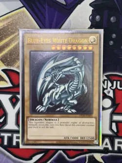 Blue-Eyes White Dragon - OP28-EN001 - Near Mint NM - Ultimate Rare - Unlimited - Image 1