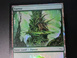 FOREST BASIC LAND HOLO FOIL CARD MTG 303 / 306 MAGIC THE GATHERING 2003 NP NM- - Image 2