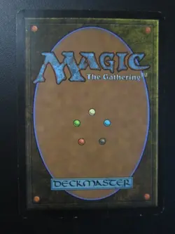 FOREST BASIC LAND HOLO FOIL CARD MTG 303 / 306 MAGIC THE GATHERING 2003 NP NM- - Image 4