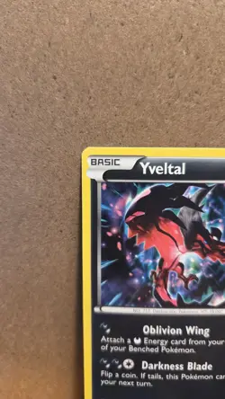 Yveltal Black Star Promo XY06 Holo NM - ungraded Pokemon Card - Image 3