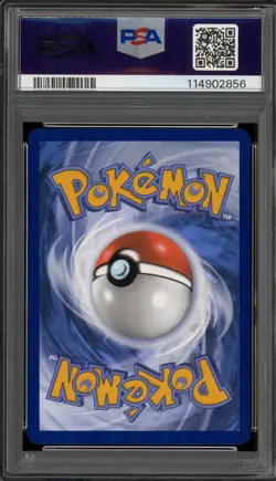 Pokemon Feraligatr 2024 Illustration Contest Promo SVP EN 213 PSA 10 Gem Mint - Image 2