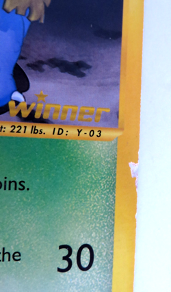 Pokemon Dark Venusaur Oversized Jumbo Card, Best of Game Winner, Damaged - Image 4