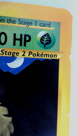 Pokemon Dark Venusaur Oversized Jumbo Card, Best of Game Winner, Damaged - Image 5