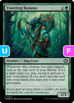 MTG Traveling Botanist TDM U Creature Dog Scout *Foil* NM - Image 1