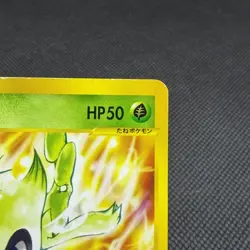 Celebi 007/P Promo Magazine Trainers Vol. 13 2001 Japanese Pokemon Card #C1B5 - Image 2