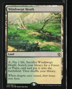 Magic The Gathering Khans of Tarkir Windswept Heath #248 - Image 1