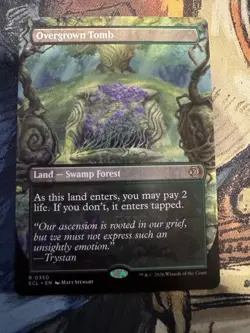 Overgrown Tomb (Borderless) Lorwyn Eclipsed Regular NM - Image 1