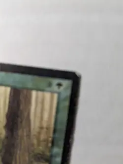 Arabian Nights Singing Tree HP & Empty Pack Wrapper (Tears & Wear) - Image 4