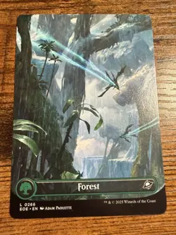 MTG Magic The Gatheri EOE Borderless 5 lands Forest Mountain Swamp Island Plains - Image 1