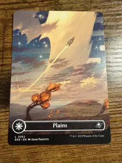 MTG Magic The Gatheri EOE Borderless 5 lands Forest Mountain Swamp Island Plains - Image 5