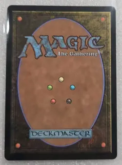 Hallowed Fountain - Lorwyn Eclipsed - MtG- NM - Image 2