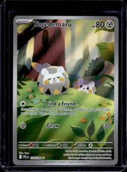 2025 Pokemon Phantasmal Flames PFL EN Togedemaru Illustration Rare #104/094 - Image 1