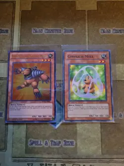 YUGIOH NEO-SPACIAN GRAND MOLE DUSA ULTRA + CHRYSALIS MOLE TAEV COMMON 1ST ED NM - Image 1
