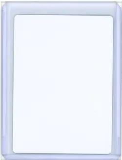 Evolving Wilds Commander 2016 Signed Artist Proof MTG - Image 2