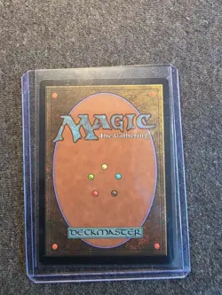 Lulu, Stern Guardian Borderless Chocobo Track Foil MTG Final Fantasy FIN NM X1 - Image 2