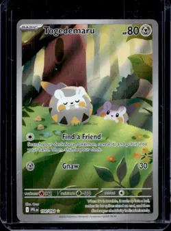 2025 Pokemon Phantasmal Flames PFL EN Togedemaru Illustration Rare #104/094 - Image 1