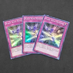 3x Black Wing Revenge DRLG-EN031 1st Edition Super Rare NM Near Mint Yu-Gi-Oh! - Image 2