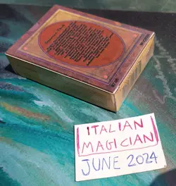Limited BETA Starter DECK Magic MTG Gem Mint 1993 + Rulebook - EMPTY PRODUCT - Image 4