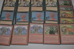 MTG 17x mind ravel sabretooth tiger red black orcs playsets magic card lot MP - Image 2