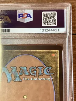 Secure the Wastes (Rainbow Foil) - Secret Lair Drop Series (SLD) MTG PSA 9 - Image 3